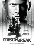 pic for prison break